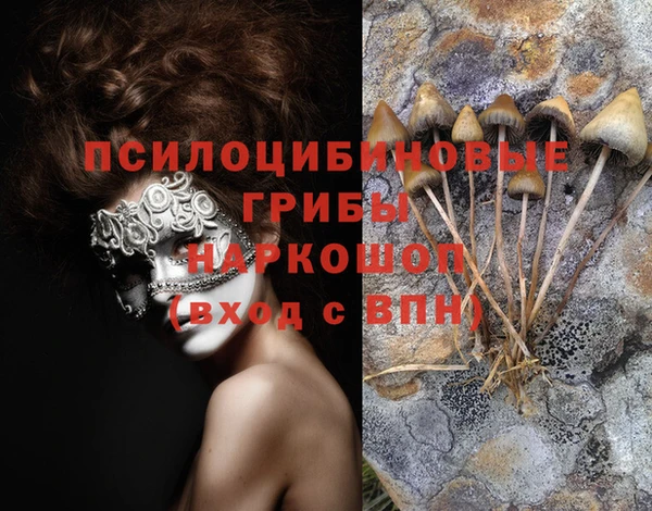 спайс Осташков