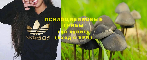 таблы Осинники