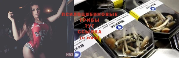 дмт Остров