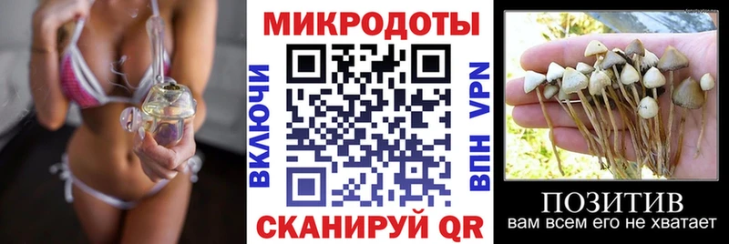 купить наркотик  Северобайкальск  darknet Telegram  Галлюциногенные грибы Magic Shrooms 