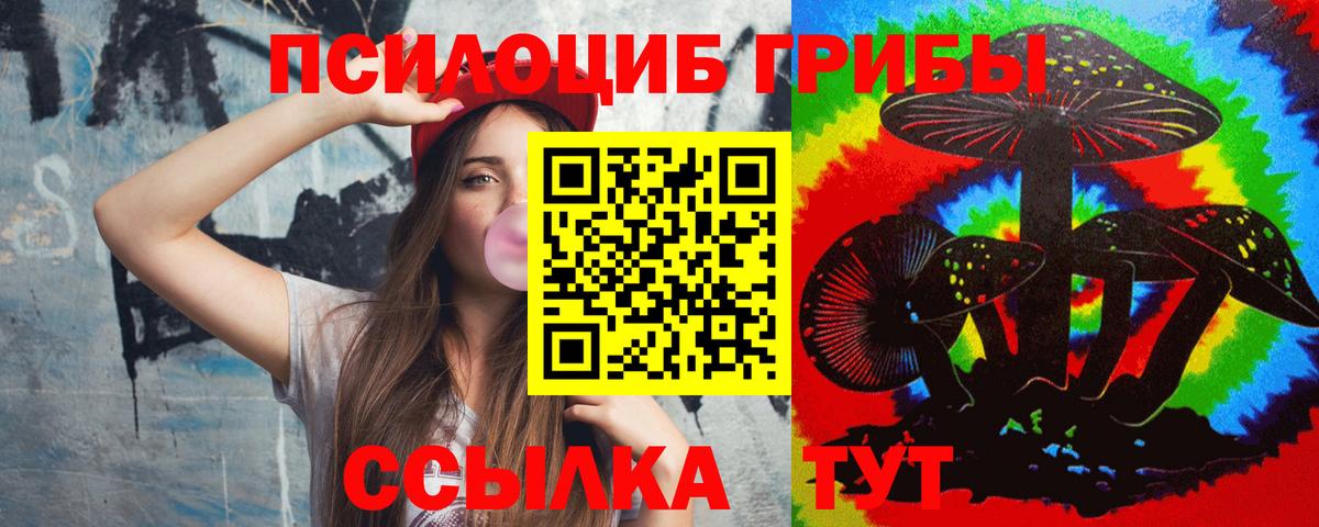 Северобайкальск  Галлюциногенные грибы MAGIC MUSHROOMS  Вход с VPN  Галлюциногенные грибы GOLDEN TEACHER 