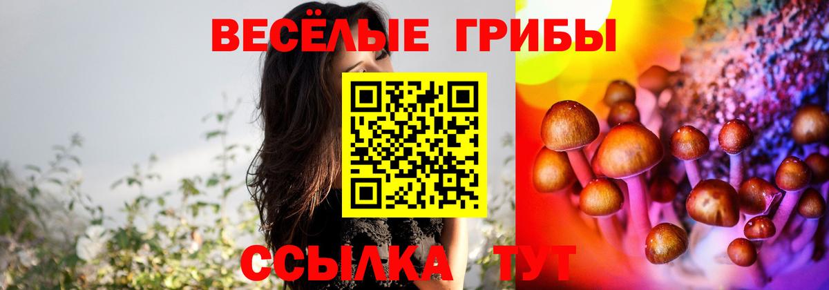 Галлюциногенные грибы Psilocybine cubensis Северобайкальск